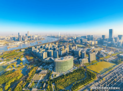本身没典质才行